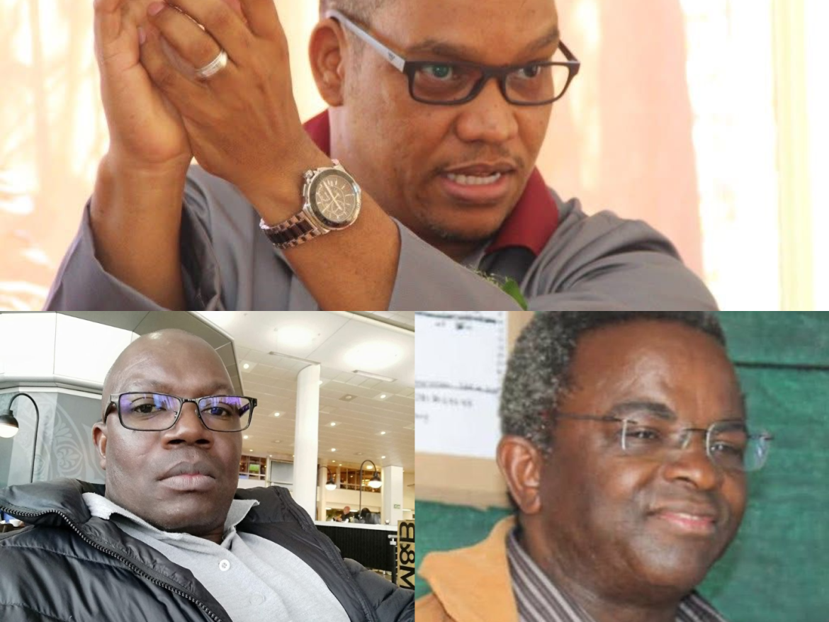Swapo Clean Sweep Leaves No IPC, LPM or Independent Councillors in New National Council