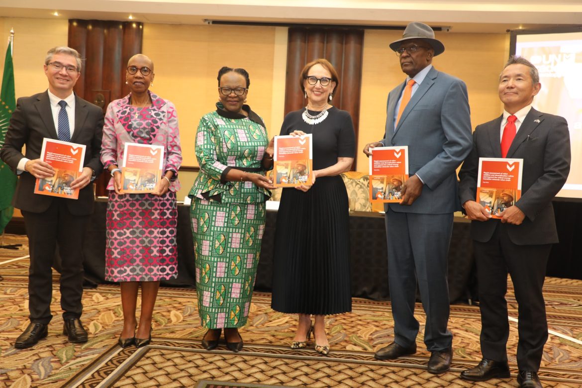 UNCTAD report identifies 353 products to help Namibia diversify economy