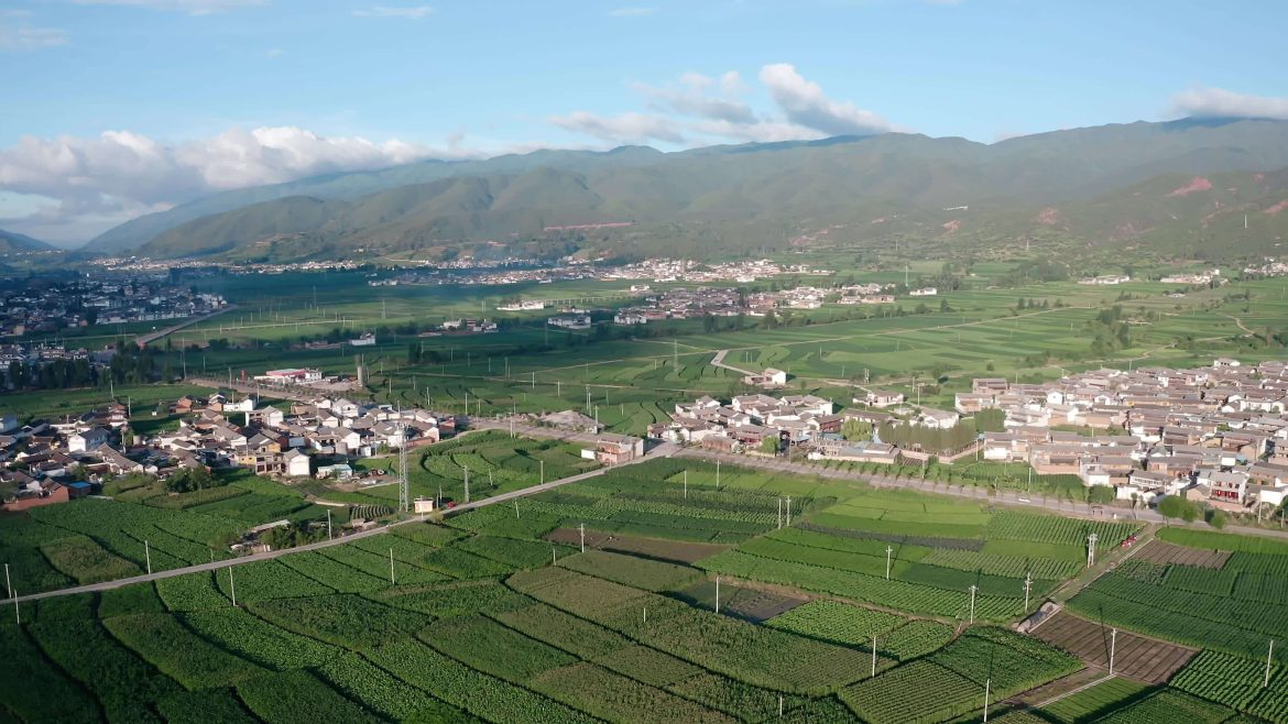 China’s air, water quality improves in H1