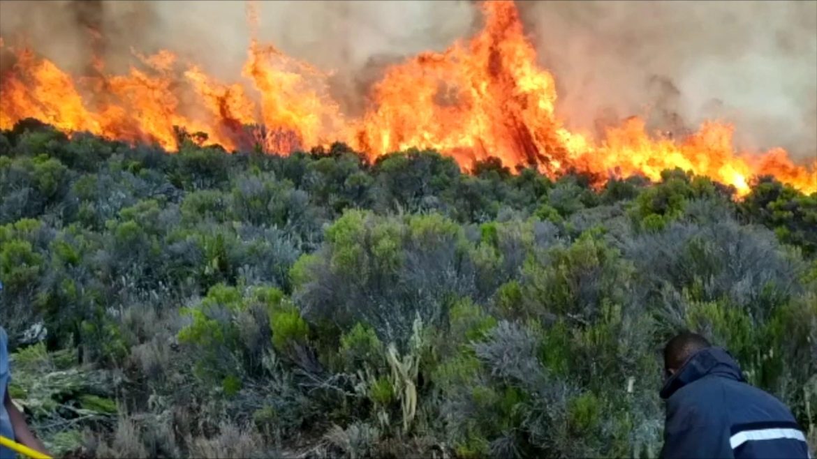 Tanzania contains Mount Kilimanjaro fire by over 90 pct